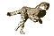 :gepard: